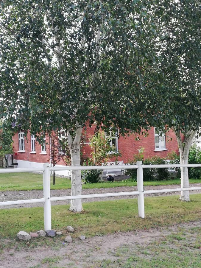 Apartament Tankefuld Living'S Horsefarm Svendborg Zewnętrze zdjęcie